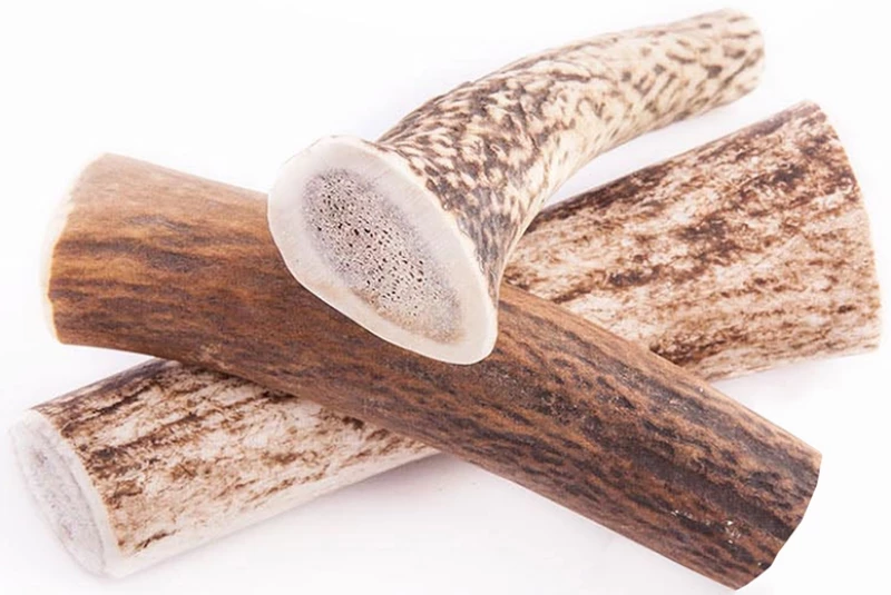 Κέρατο Ελαφιού Wildz Antler Chew 2XL Hard 20cm - 160gr