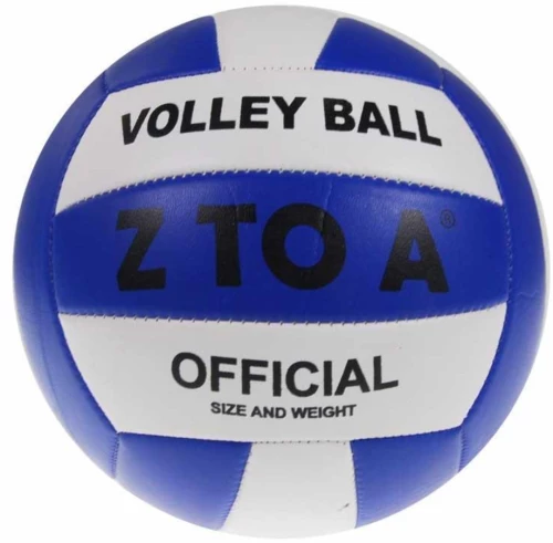 259666 Μπάλα volley