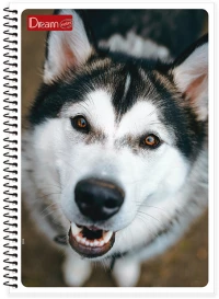 Τετράδιο σπιράλ Dream A4 Husky 4θέματα 240σελίδες