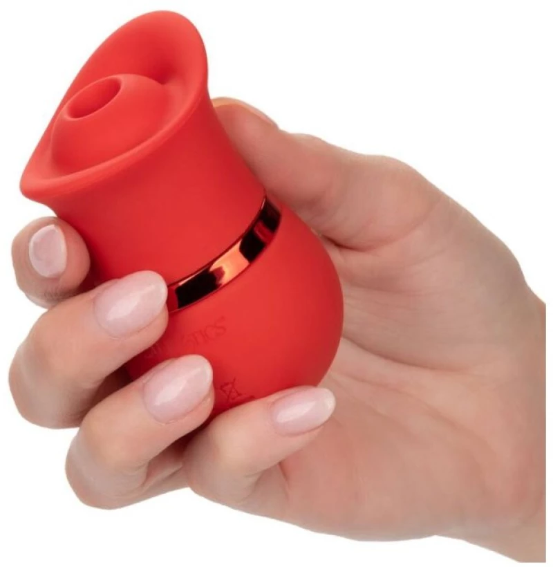 CALIFORNIA EXOTICS FRENCH KISS SUCK & PLAY SET