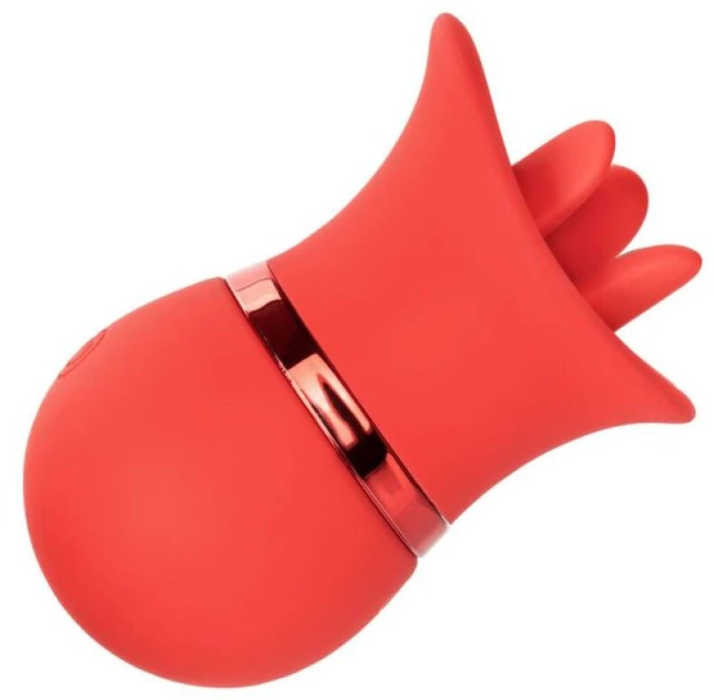 CALIFORNIA EXOTICS FRENCH KISS SUCK & PLAY SET