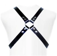 LEATHER BODY BASIC HARNESS
