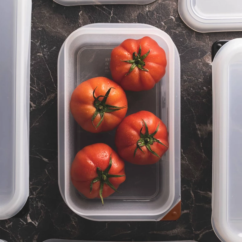 Foodies Πλαστικό Δοχείο Τροφίμων με Καπάκι 1700ml