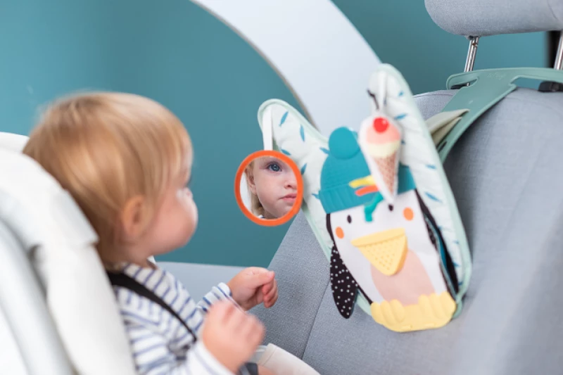 Taf Toys Παιχνίδι για το Αυτοκίνητο Penguin Play & kick