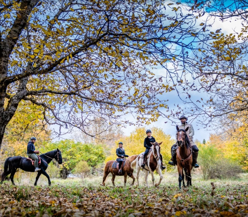 60' παραποτάμια βόλτα με άλογα στο Καρπενήσι για 2 άτομα!