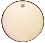 Remo Ambassador Renaissance - 08"