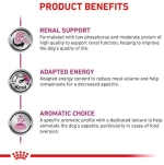 Royal Canin Κλινική Κονσέρβα Renal Special 410gr για Σκύλο