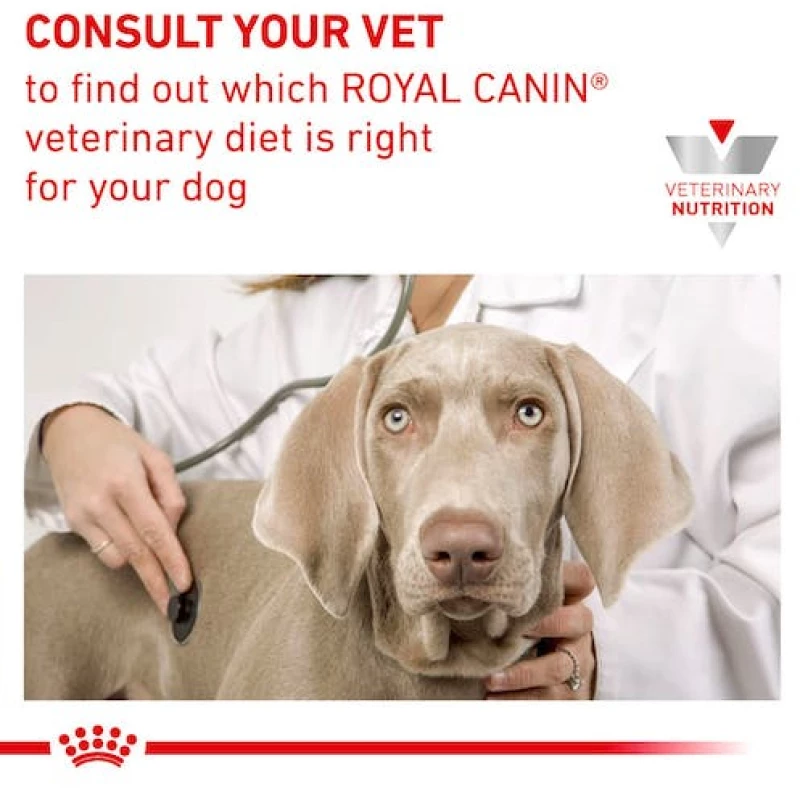 Royal Canin Κλινική Κονσέρβα Renal Special 410gr για Σκύλο