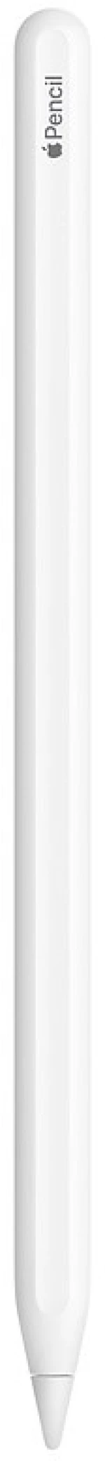 Apple Pencil (2nd Gen)