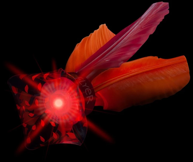 Waboba Flyer with Led