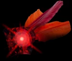Waboba Flyer with Led