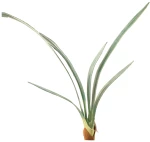 Μάτσο φύλλα 6 τμχ 50cm συμπίντιουμ HomeGuru BM113