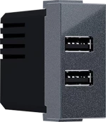 MODYS ΠΡΙΖΑ ΤΡΟΦΟΔΟΣΙΑΣ USB 1 ΣΤ. 2xUSB ΑΝΘΡΑΚΙ 5VDC 2X1.2A IP20 - ACA (10101412827)