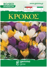Κρόκος Μίγμα Φάκελος | 1 τμχ