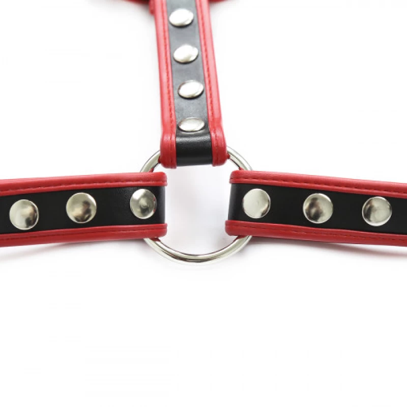 Naughty Toys Chest Harness