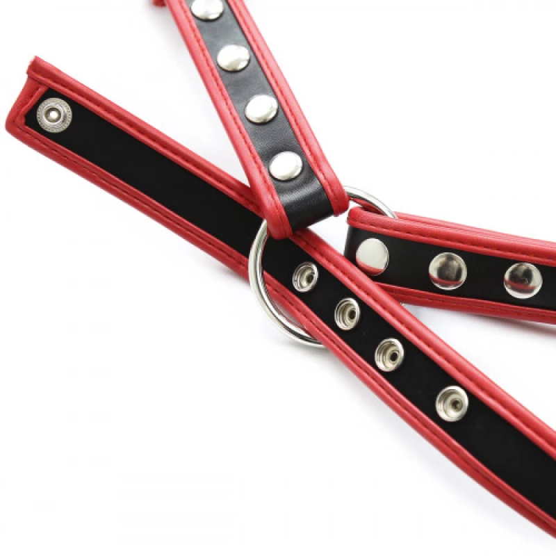Naughty Toys Chest Harness