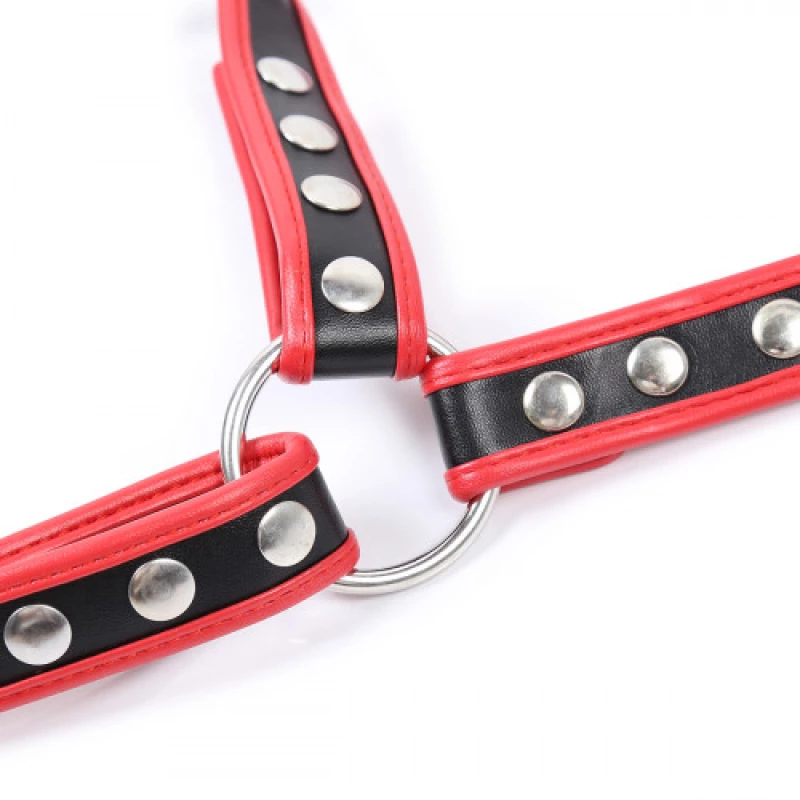 Naughty Toys Chest Harness