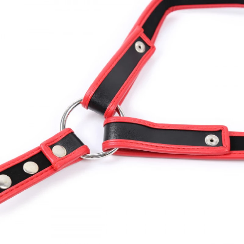 Naughty Toys Chest Harness