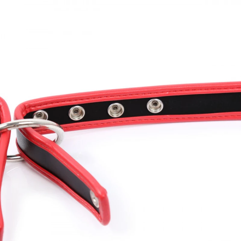 Naughty Toys Chest Harness