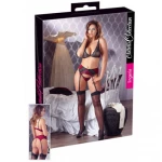Lace Bra and Suspender Set