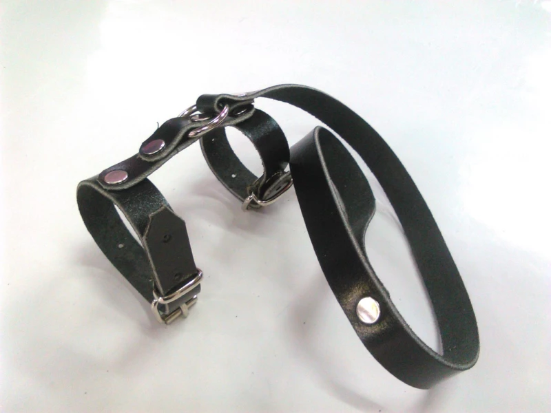 BDSM Δακτυλίδια για το πέος και τους όρχεις με  λουρί λαβής