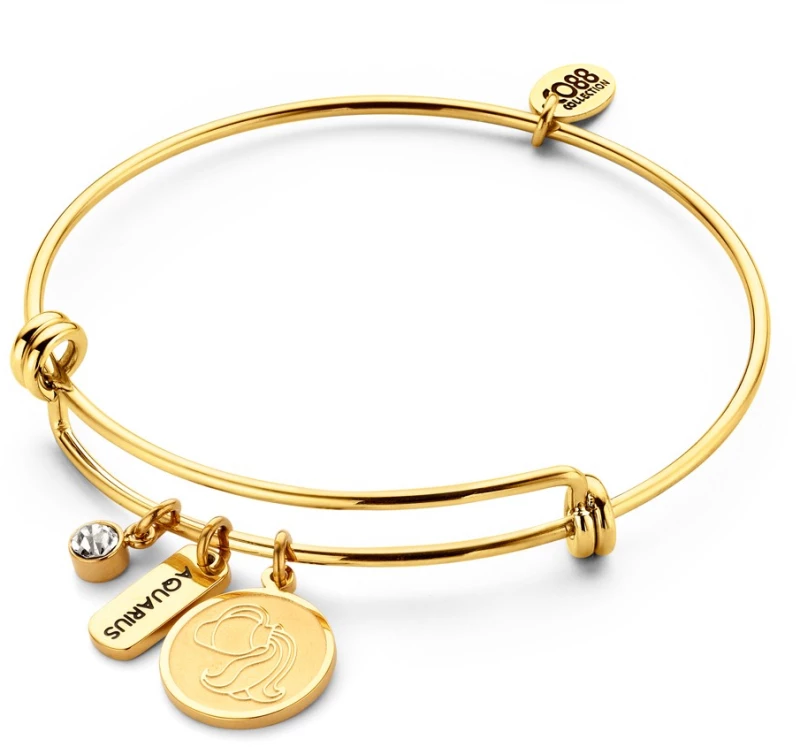 Steel Bracelet with zodiac Aquarius "Υδροχόος", Brand CO88 - 8CB-90280