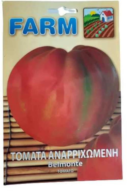 Τομάτα αναρριχώμενη πρώιμη Belmonte