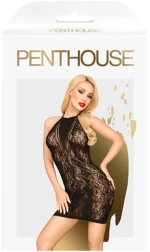 PENTHOUSE CAUTIOUS CAT DRESS