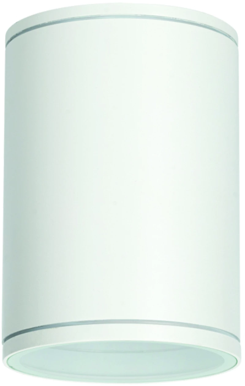 E27 PAR30  ROUND CEILING LUMINAIRE 230V AC MATT WHITE IP65 MAX.35W ACA LG2302E27W
