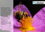 Libytec Prodiatec Συμπλήρωμα Διατροφής για τη Ρύθμιση Επιπέδων της Γλυκόζης 30 κάψουλες