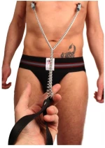 Breast clamps + leash ( metal + leather )