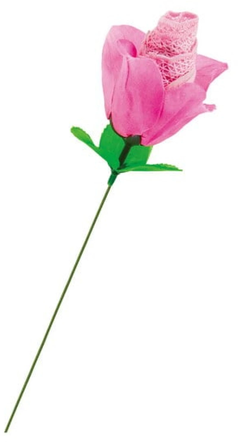 ROSE String Pink