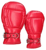 Neoprene Dog Mitts