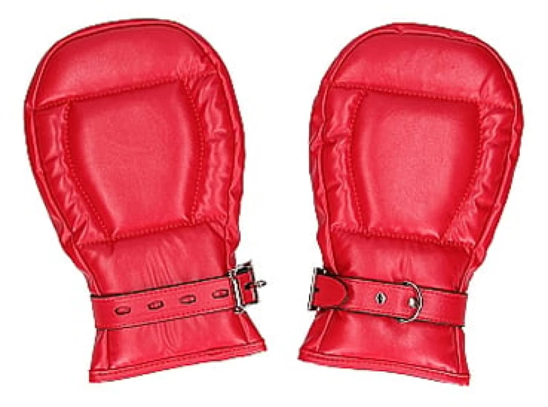 Neoprene Dog Mitts