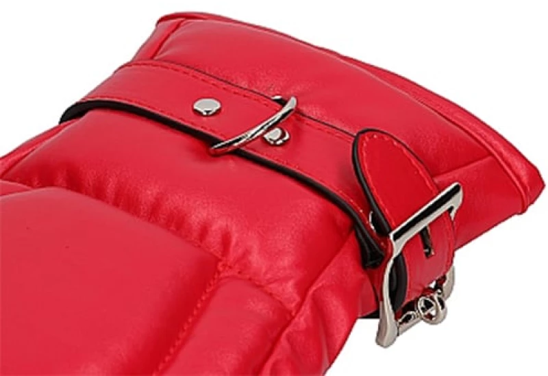 Neoprene Dog Mitts