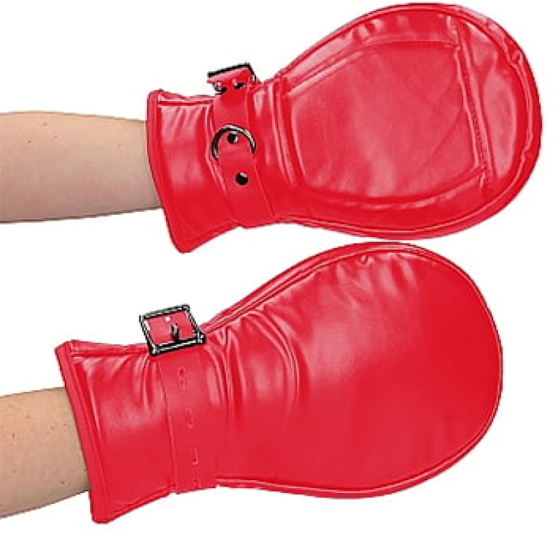 Neoprene Dog Mitts