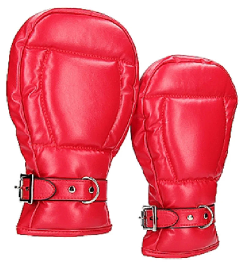 Neoprene Dog Mitts