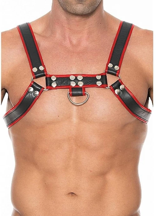 Chest Bulldog Harness Red