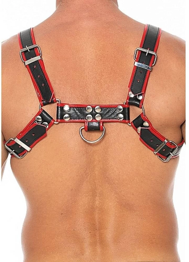 Chest Bulldog Harness Red