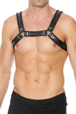 Buckle Bulldog Harness - Black