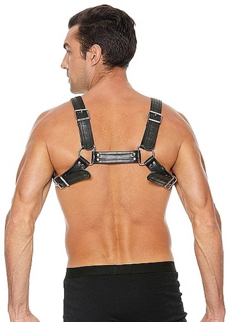 Buckle Bulldog Harness - Black