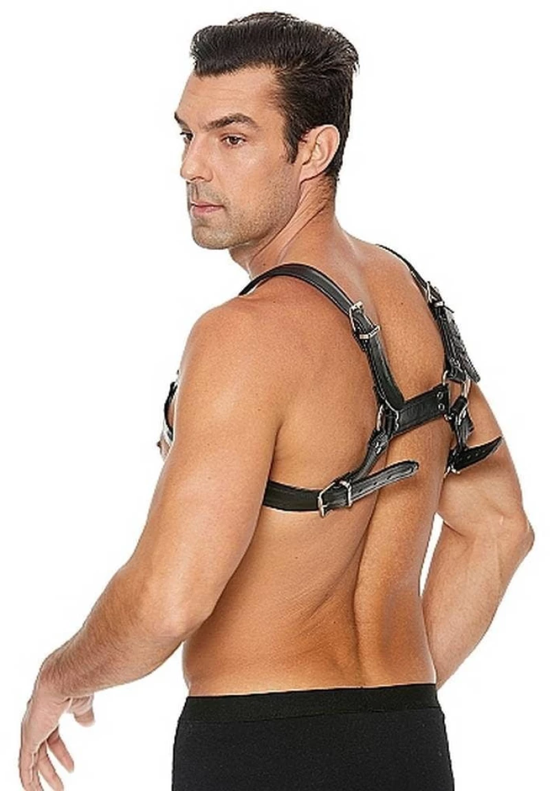 Buckle Bulldog Harness - Black