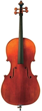 Gewa Maestro 31