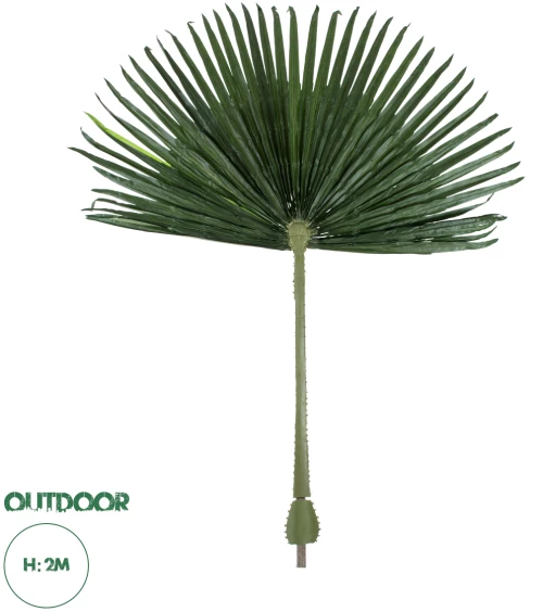 GloboStar® Artificial Garden WASHINGTONIA FILIFERA PALM LEAF 20171 Τεχνητό Διακοσμητικό Φύλο Φοινικόδεντρου Βεντάλια Π170 x Υ200cm