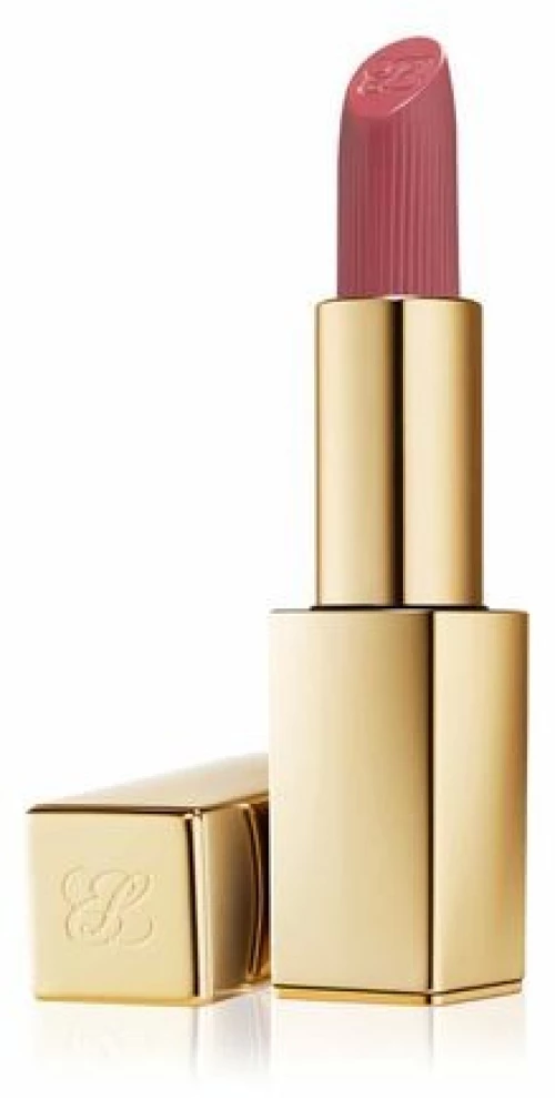 Estee Lauder Pure Color Matte Lipstick 3.5gr - 669 Stolen Heart