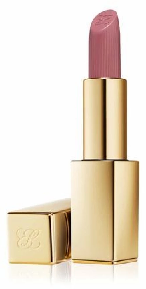 Estee Lauder Pure Color Matte Lipstick 3.5gr - 816 Suit Up
