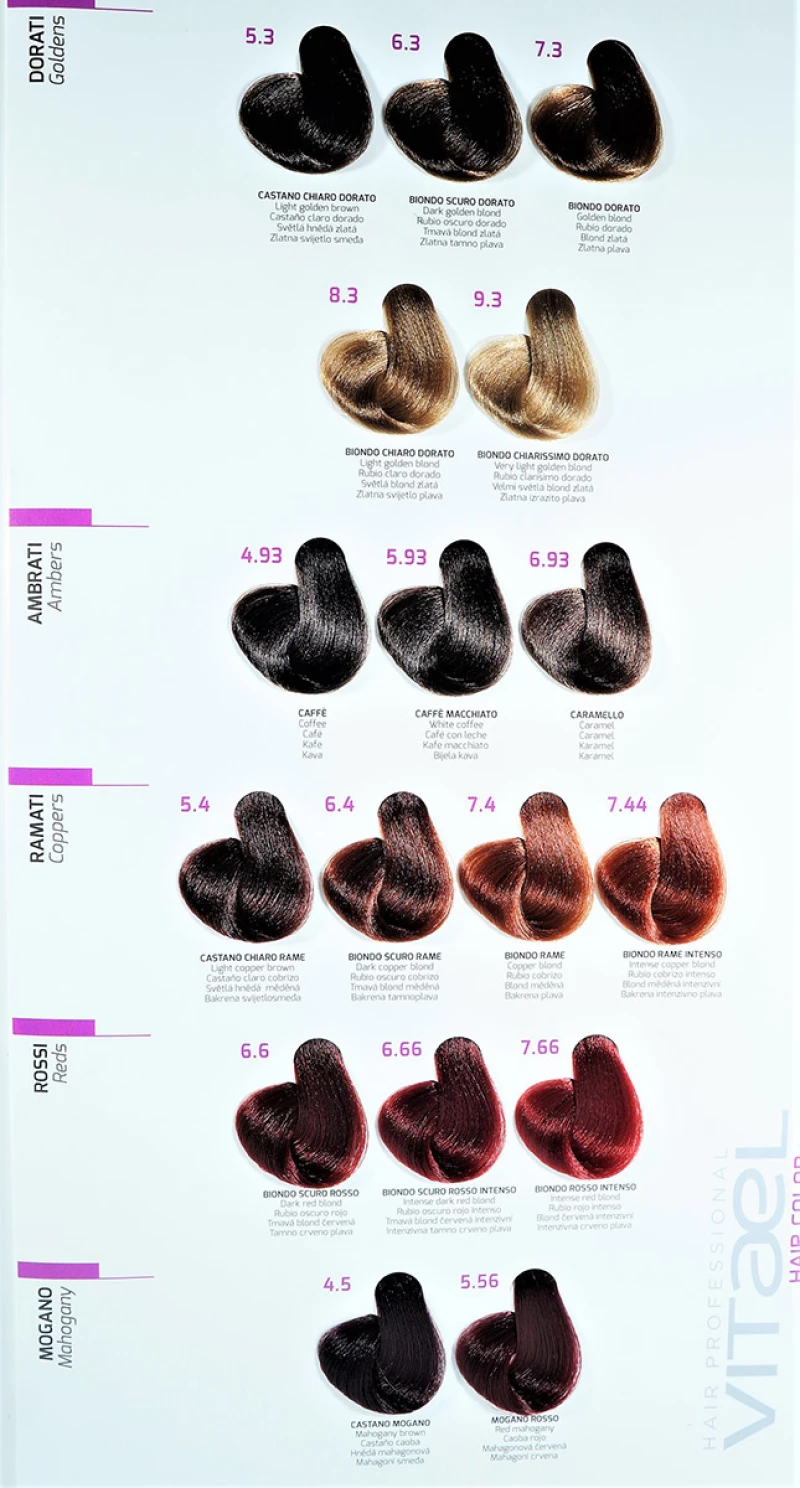 VITAEL HAIR COLOR ΒΑΦΗ ΜΑΛΛΙΩΝ 6.0 ΕΝΤΟΝΟ ΞΑΝΘΟ ΣΚΟΥΡΟ 100ml
