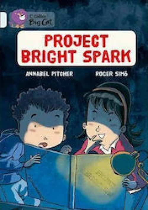 PROJECT BRIGHT SPARK Paperback