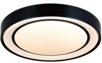 InLight Πλαφονιέρα οροφής LED 27W 3000K από μαύρο μέταλλο και ακρυλικό D:40cm 42179-Β