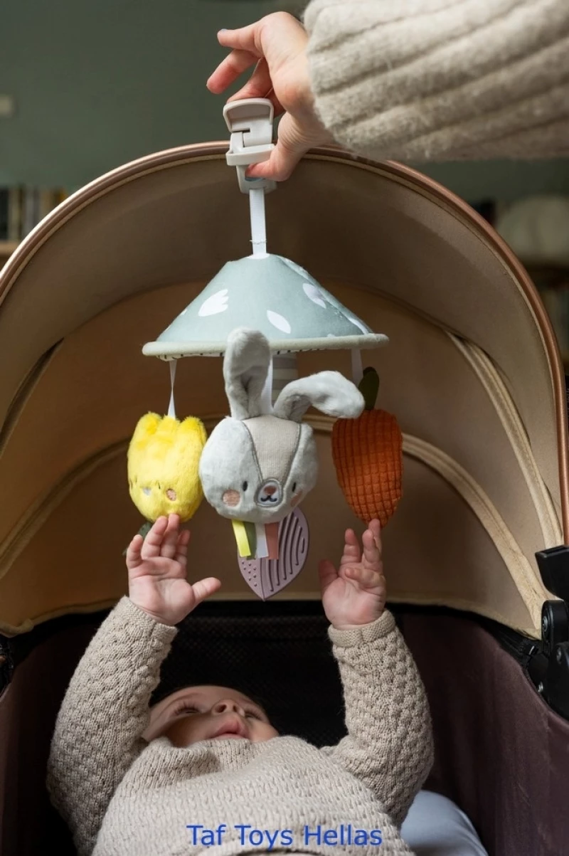 Taf Toys Garden Pram Mobile